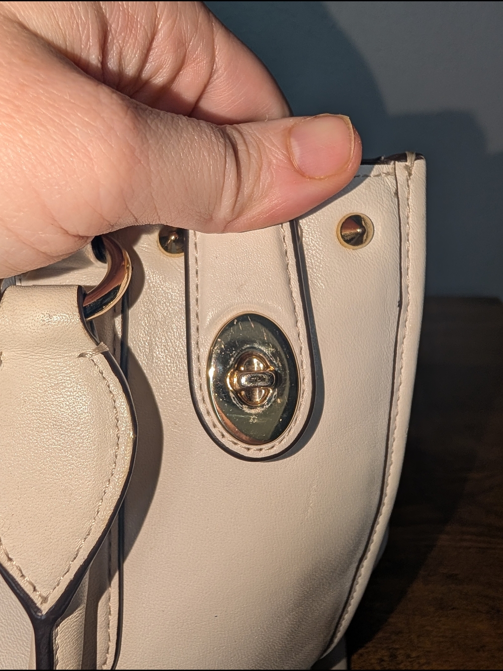Coach Crosby Caryall Bag - Picture 14 of 15